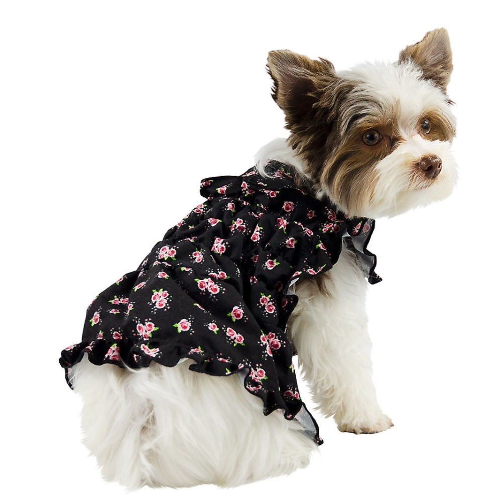Dog item